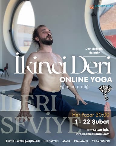 İkinci Deri: Fil