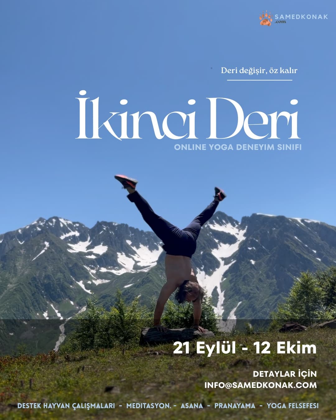 İkinci Deri Sınıfı: Örümcek