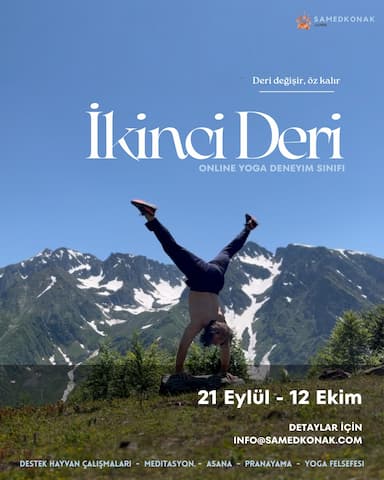 İkinci Deri Sınıfı: Örümcek