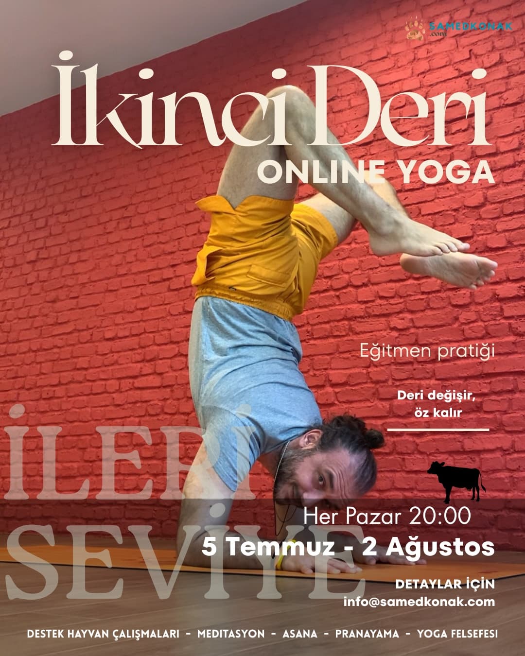 İkinci Deri: İnek