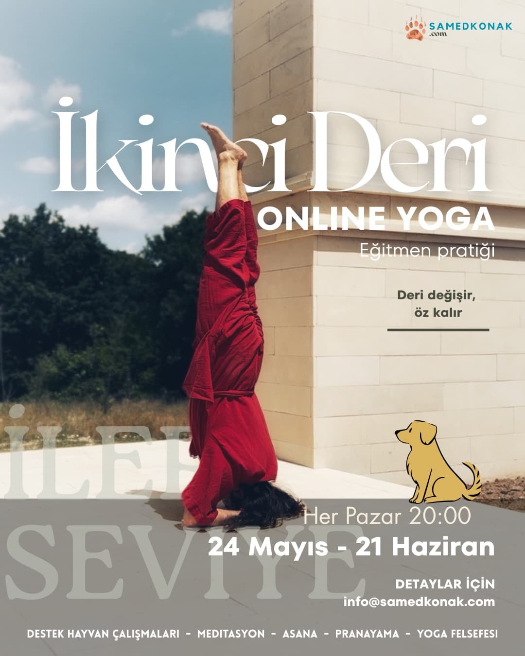 İkinci Deri: Köpek
