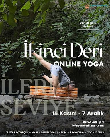 İkinci Deri Sınıfı: Kartal