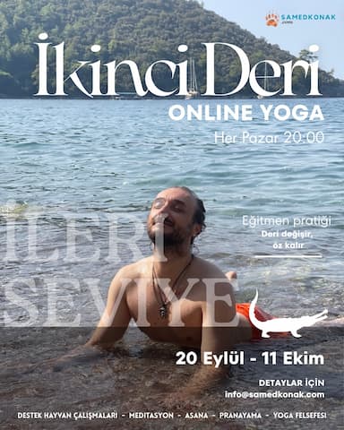 İkinci Deri: Timsah