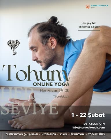 Tohum: Fil
