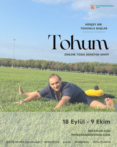 Tohum Sınıfı: Örümcek
