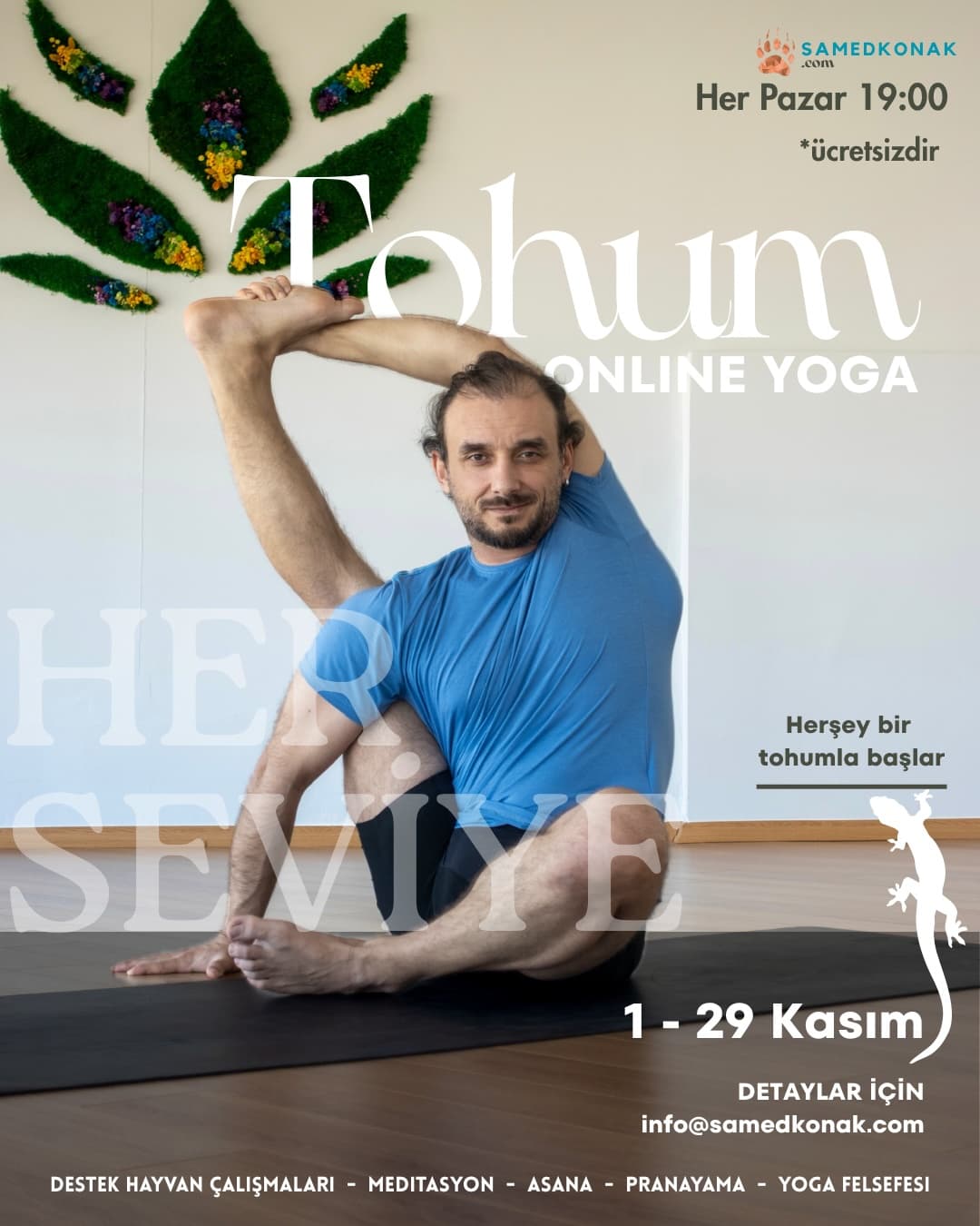 Tohum: Kertenkele