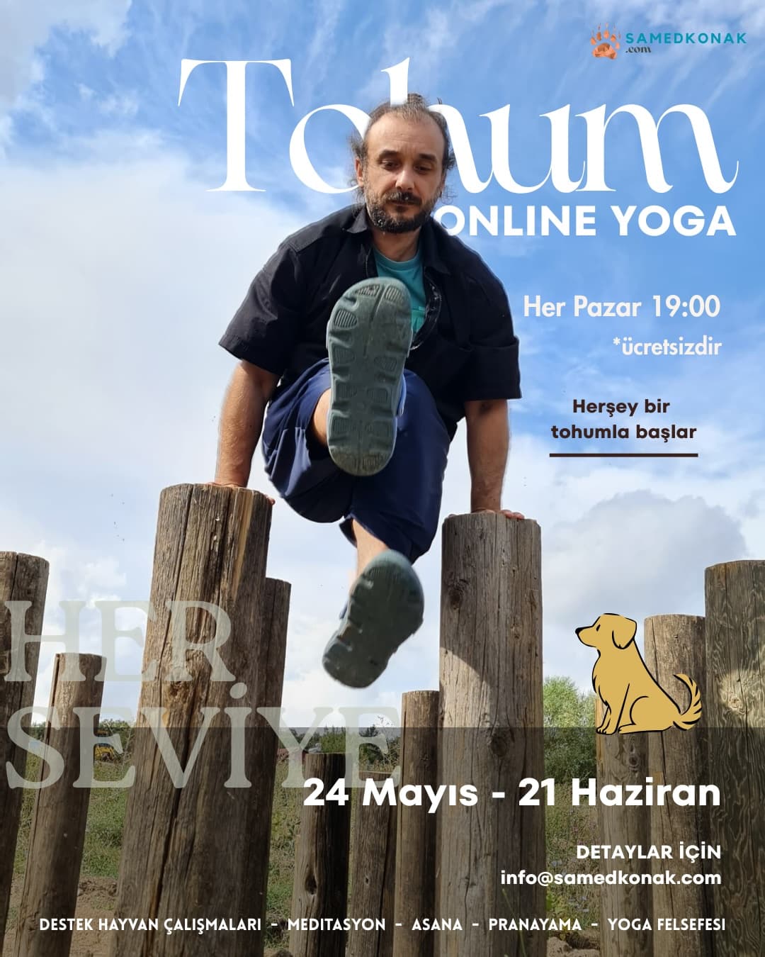 Tohum: Köpek