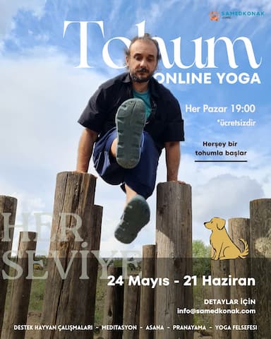 Tohum: Köpek