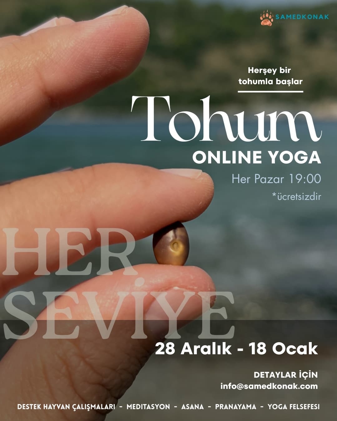 Tohum Sınıfı: Boğa