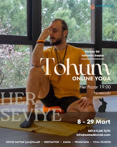 Tohum: Tavşan