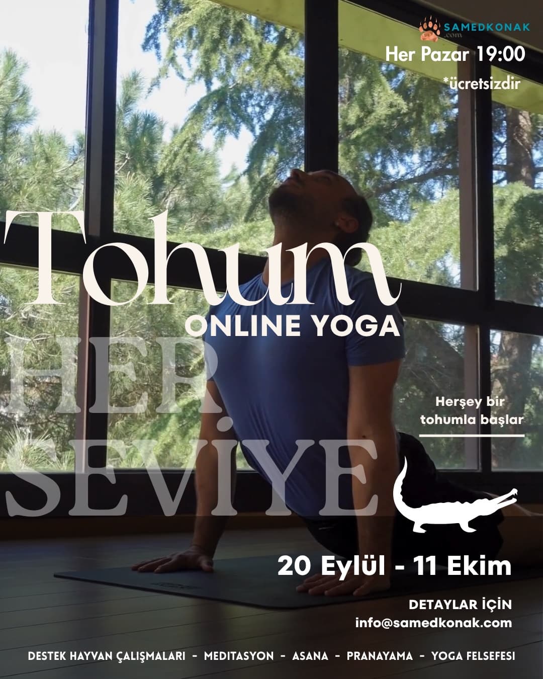 Tohum: Timsah